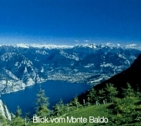 baldoblick